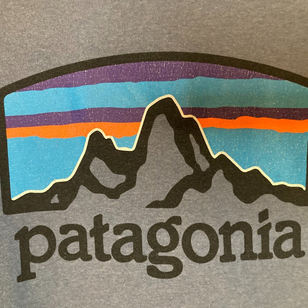Patagonia Men's Long Sleeve Blue T-Shirt - Front & Back Graphics - Size L